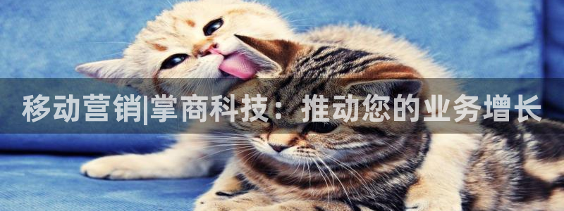 金年会下载软件