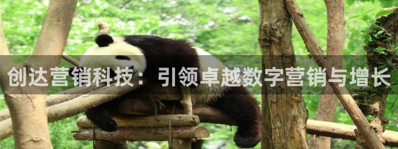 金年会体育开户
