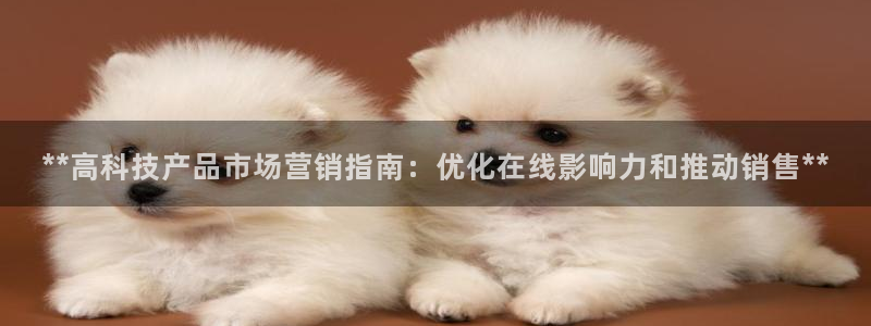 金年会官方网站入口app
