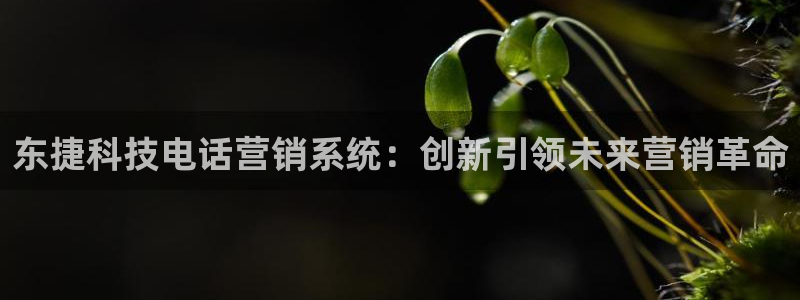 金年会官方体育频道直播