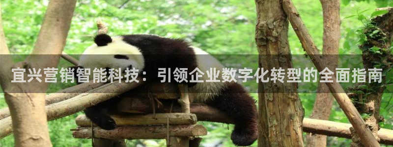 金年会体育官网入口