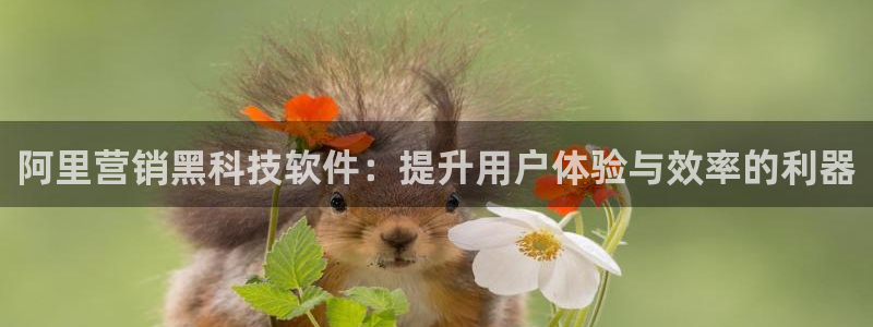 金年会官方在线入口网站下载