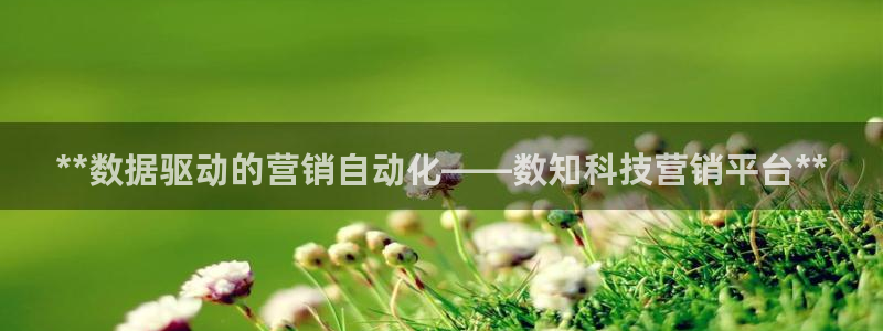 金年会体育那一年注册