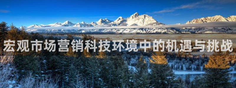 金年会电子官网