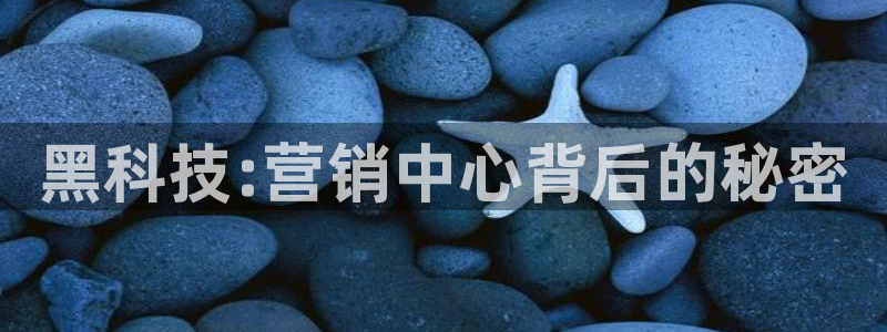 金年会体育买球