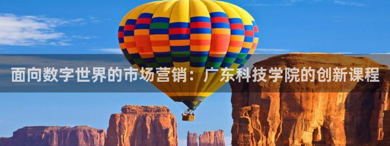 金年会平台怎么样