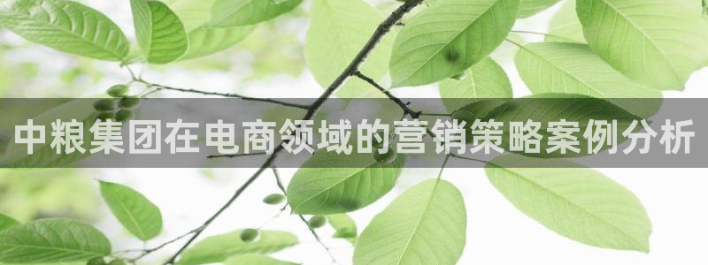 金年会金字招牌信誉至上是黑平台吗