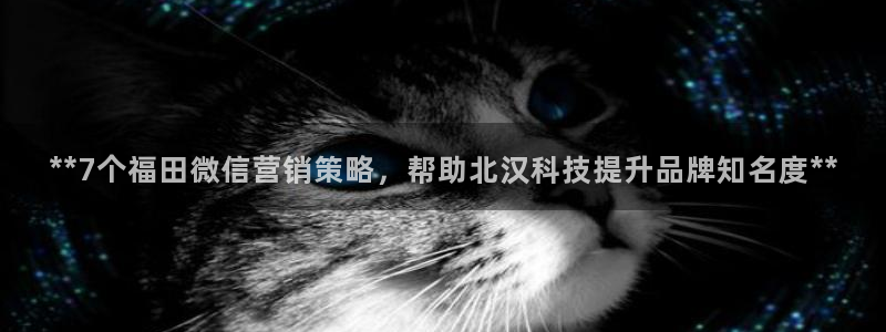 金年会信誉至上