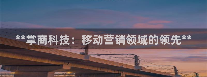 金年会平台真他妈坑人
