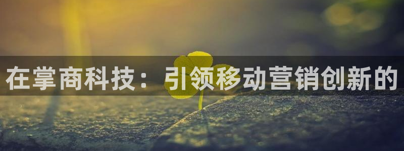 金年会los版下载