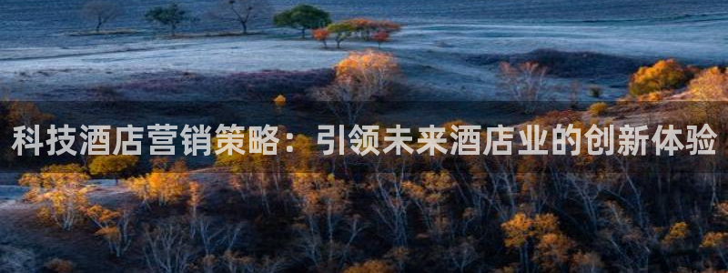 金年会黑不黑