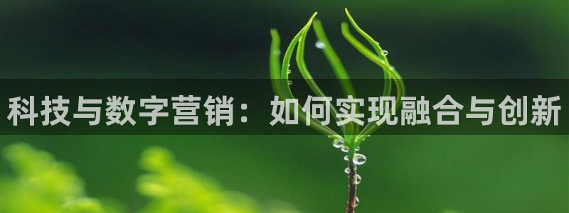 金年会官方平台是什么