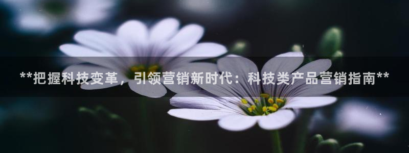 金年会官方在线入口网址是多少
