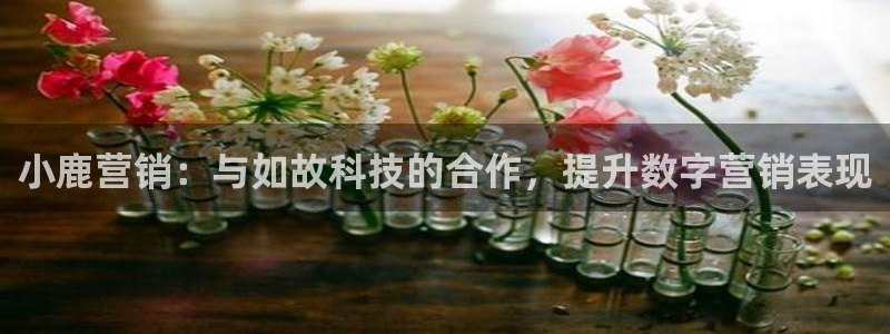 金年会官方网站入口