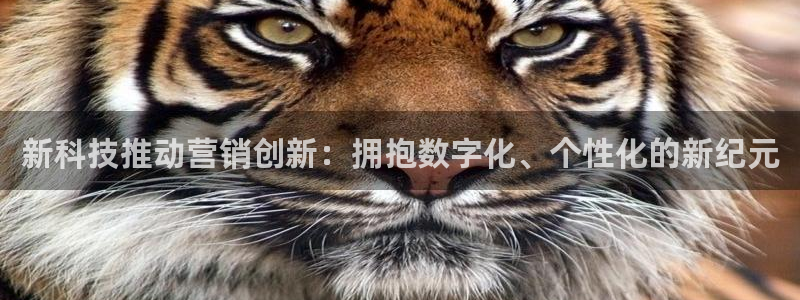 金年会官方网站入口app