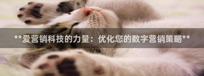 金年会金字招牌诚信至上
