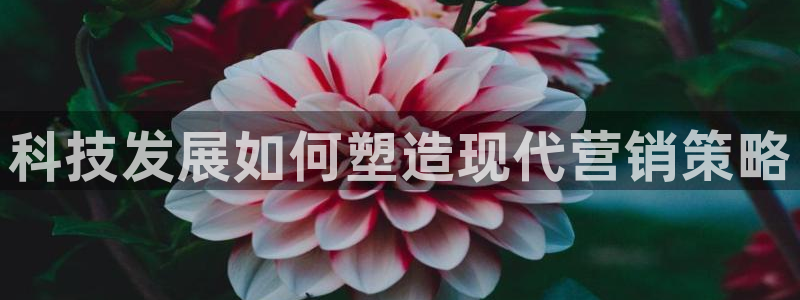 金年会app官方网站入口