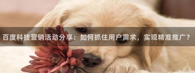 金年会App是不是钓鱼软件