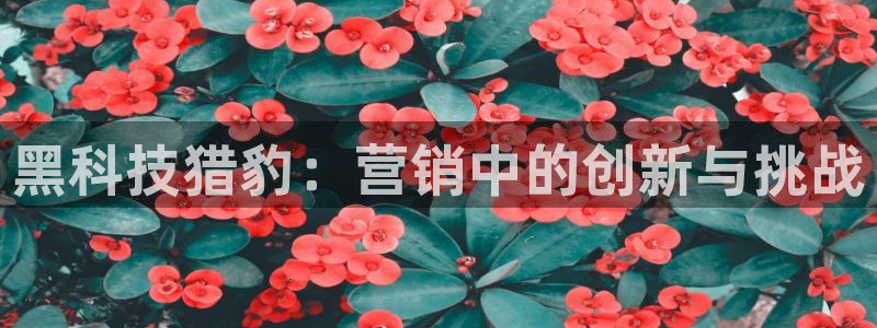金年会金字招牌至上技术有限公司