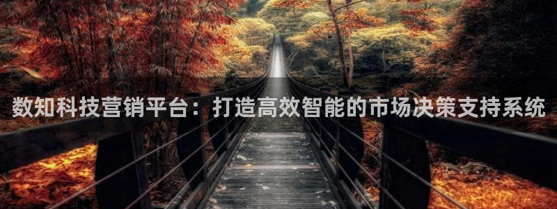 金年会 金字招牌诚信至上Vip