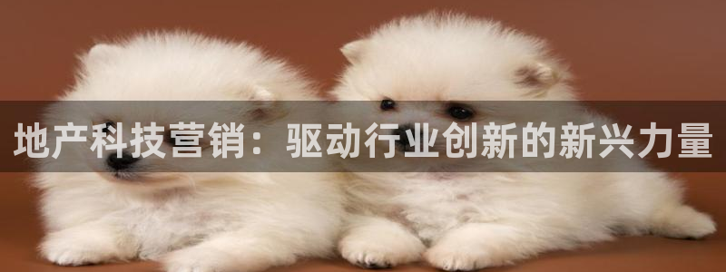 金年会体育app下载官网