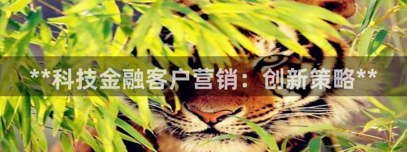 金年会体育官方app下载安装
