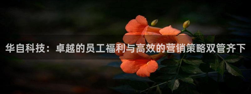 金年会体育手机app下载官网最新版