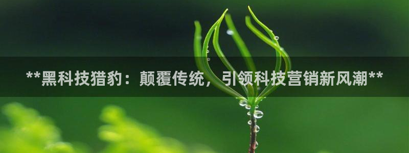 金年会官方入口首页网站