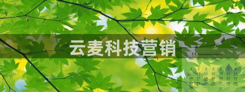 金年会网址导航在线播放