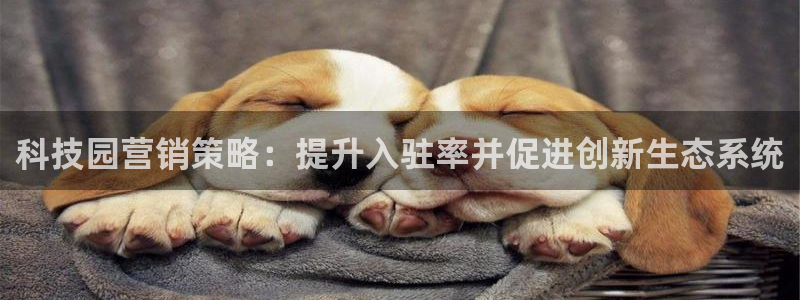 金年会体育jinnianvip