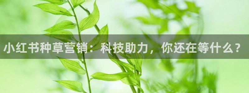 金年会网页版登陆入口