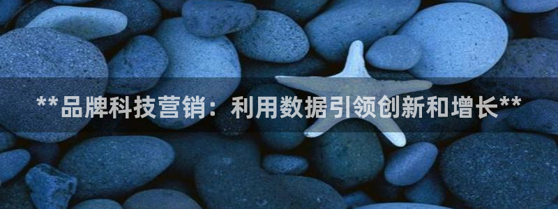 金年会下载官网app