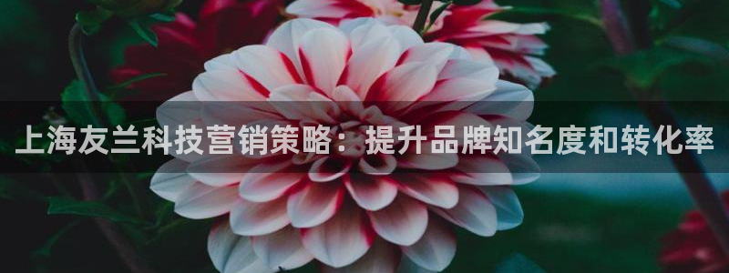 金年会app平台有人玩过吗安全吗