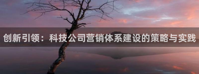 金年会官方在线入口网址查询
