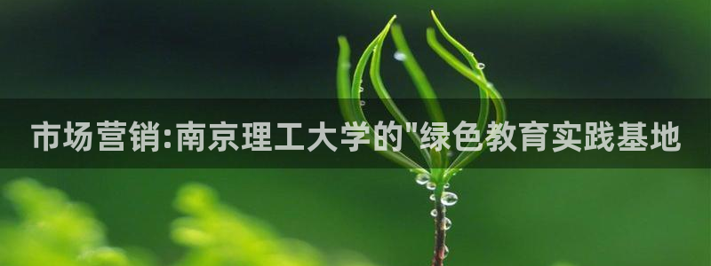 金年会体育app下载官网苹果手机