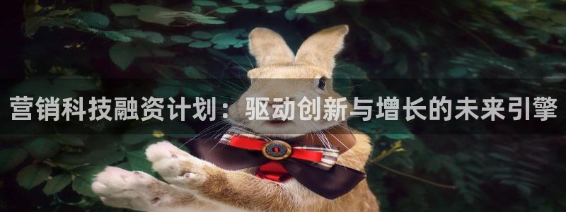 金年会官方在线入口网址是多少
