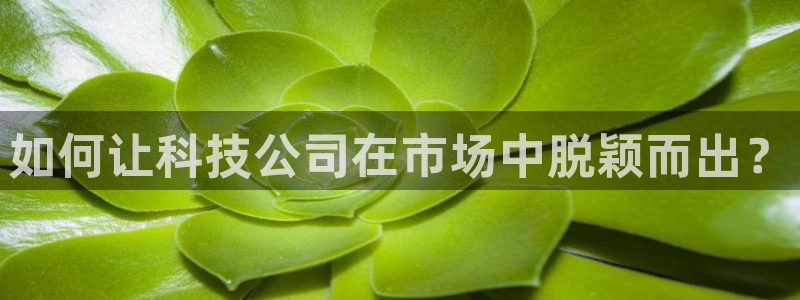 金年会体育app平台怎么样
