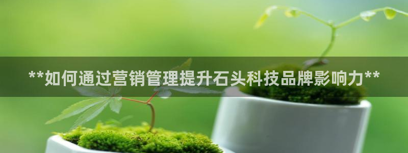 金年会官方下载入口手机版