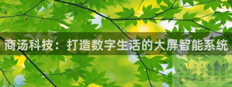 金年会App官方下载