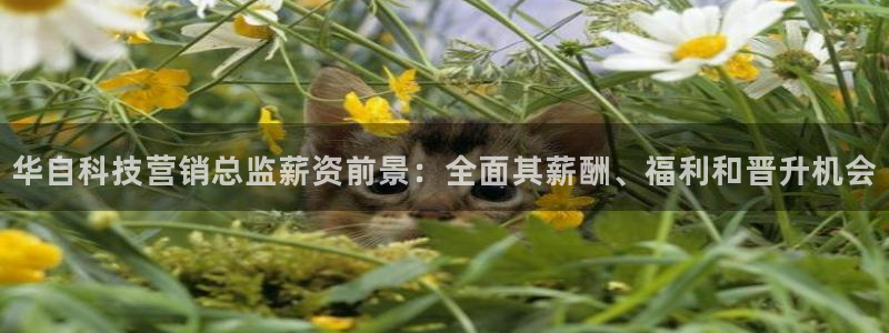 金年会信誉至上