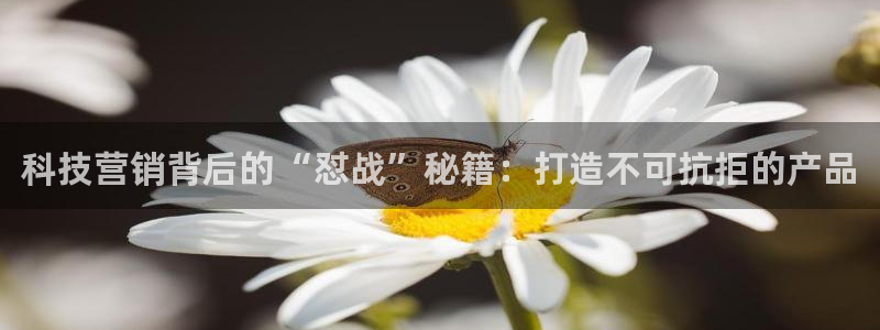 金年会体育出款审核七天