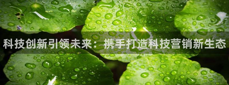 金年会电子游戏app官方
