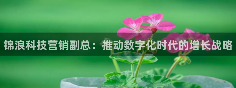 金年会手机版下载