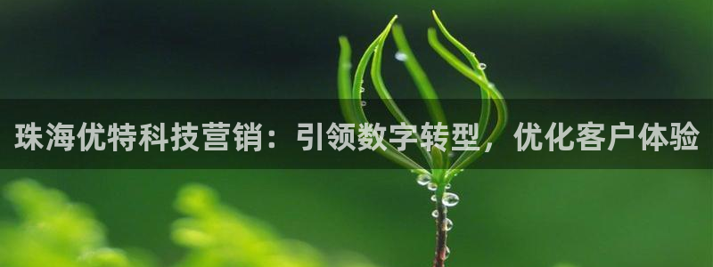 金年会提现不了