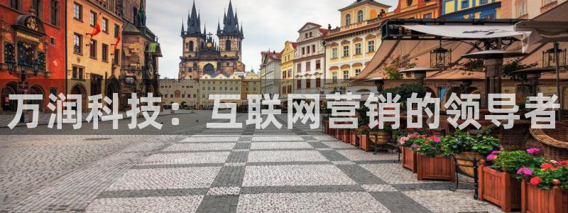 金年会体育买球app下载官网