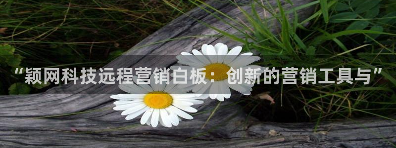 金年会官方入口首页