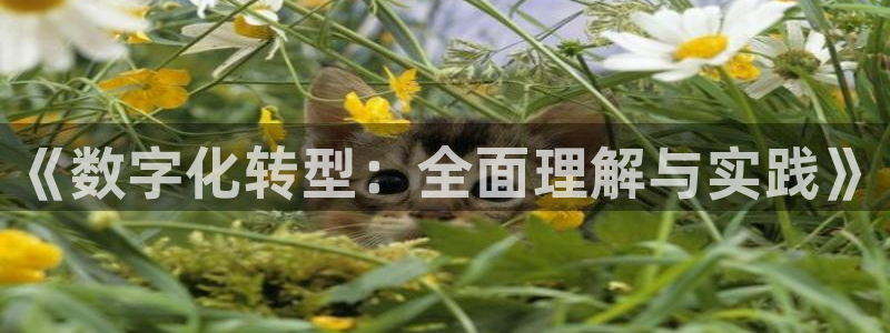 金年会金字招牌信誉至上