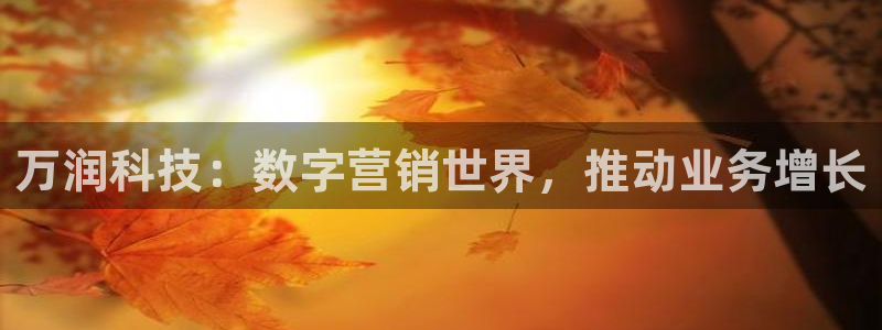 金年会体育app下载官网苹果手机
