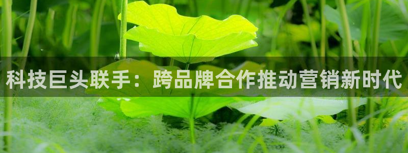 jinnianhui金年会195