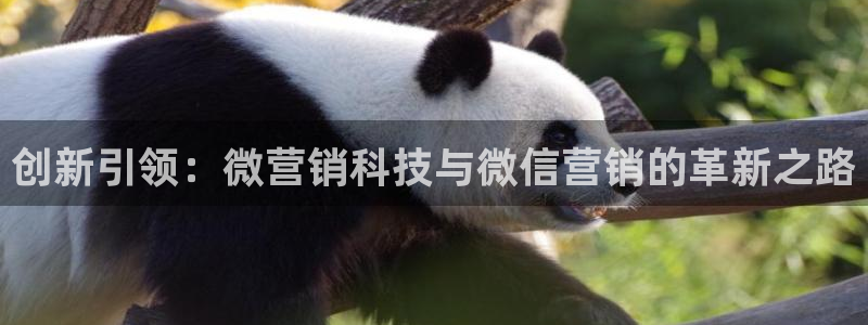 金年会app官方网站下载